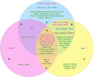 Cancer Stem Cells: Emergent Nature of Tumor Emergency